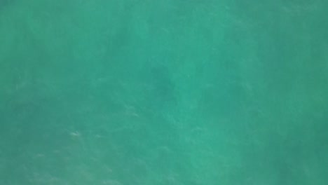 turquoise sea overhead view