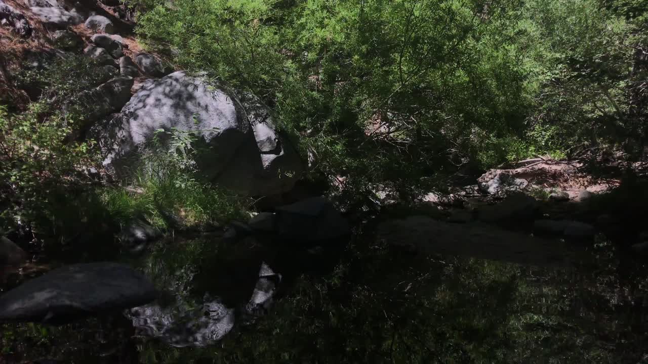 imágenes de mano oscuras uhd 4k de un estanque o río en una ruta de senderismo de montaña en la zona rural de california, ee.uu.