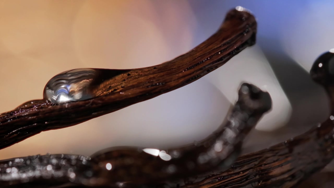 Primer plano cinematográfico macro en súper cámara lenta de una gota de esencia de vainilla reposando sobre una vaina de vainilla texturizada. La iluminación suave y una profundidad de campo superficial resaltan la gota brillante y el rico detalle orgánico
