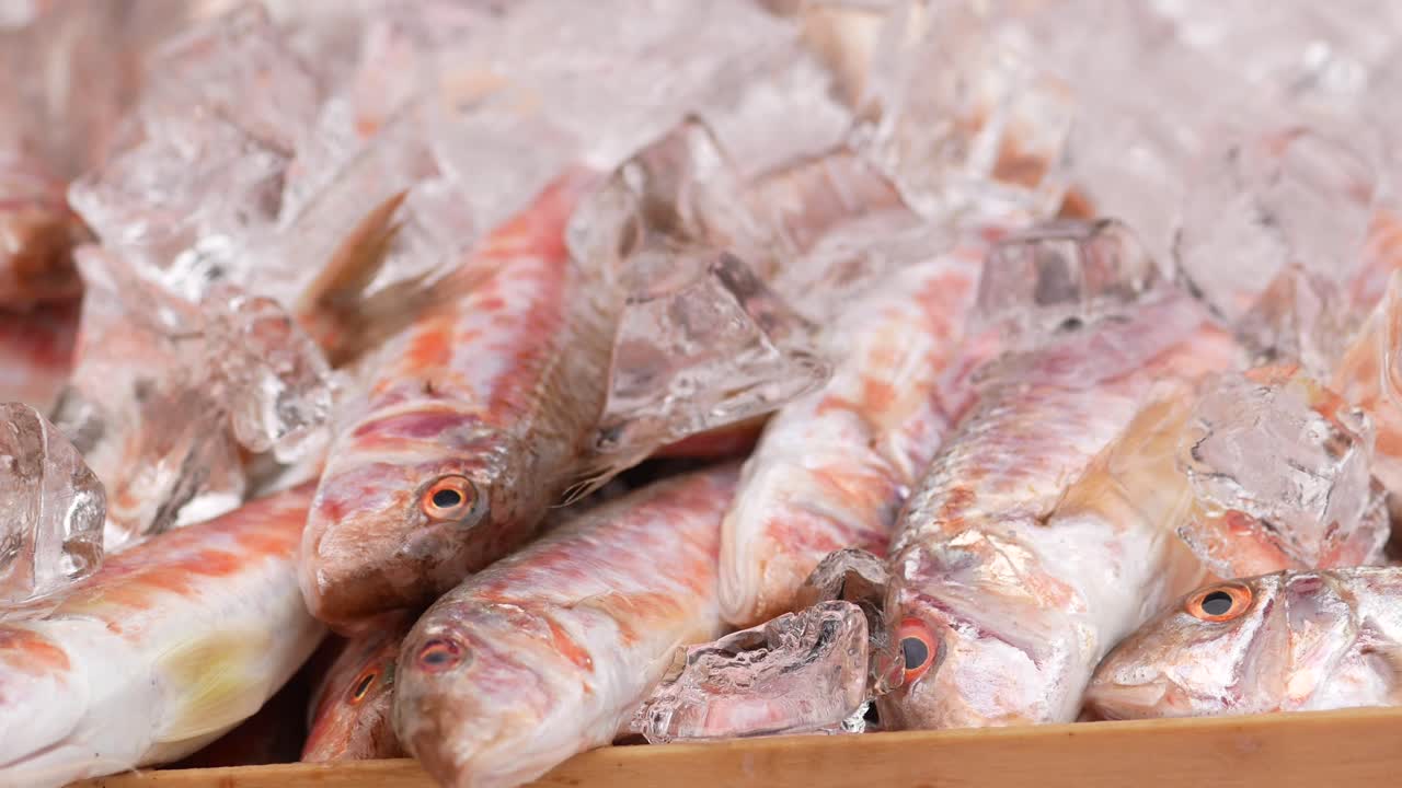 pescado fresco en hielo