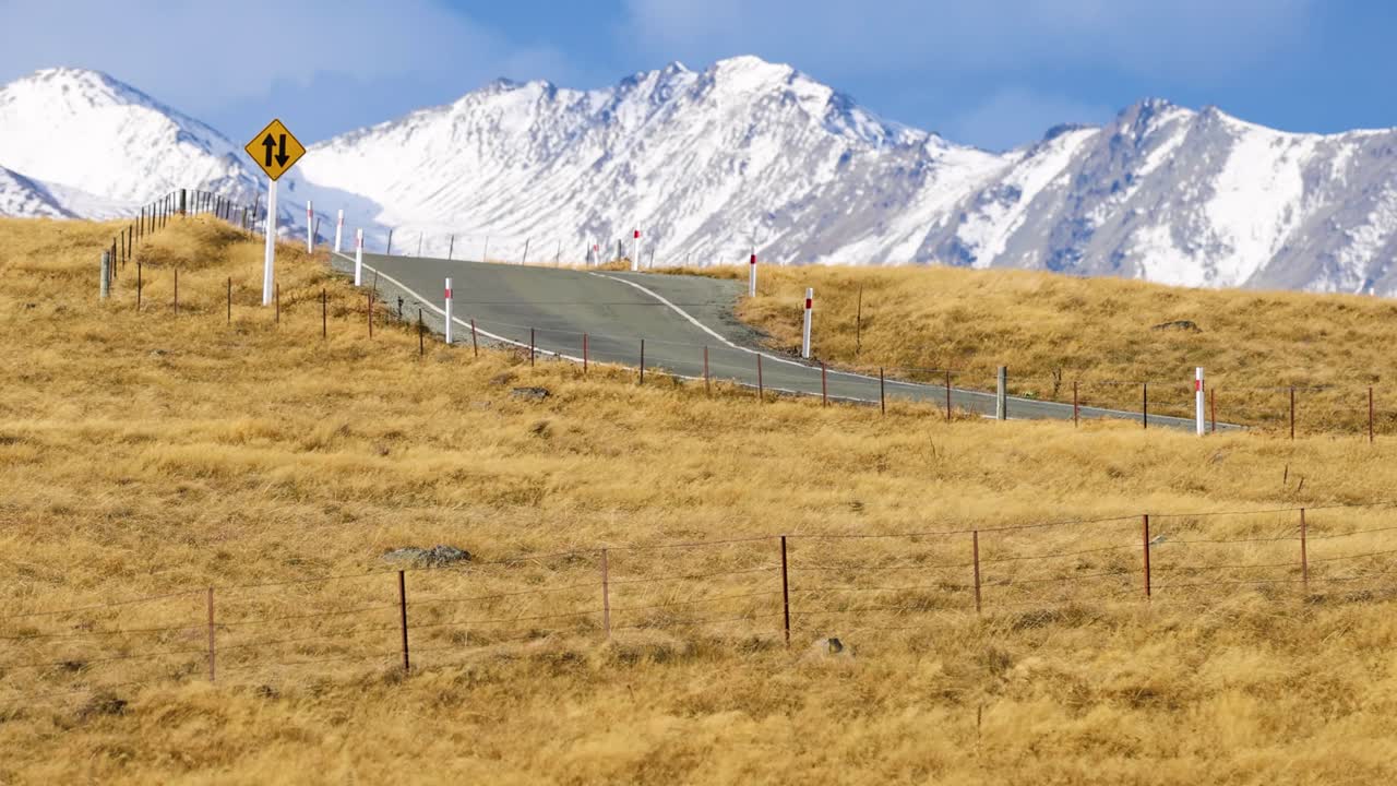 Golden grasses sway in strong wind beside a rural road, with snowy mountains in the background. Static camera, bright daylight, wide landscape view