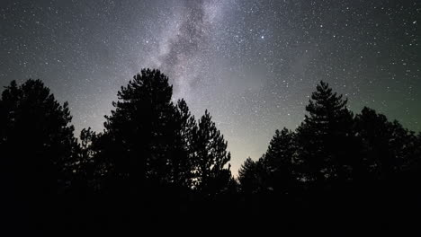 4K-Astro-Zeitraffer-Milchstraße-über-Hohen-Kiefernwäldern,-Übergang-Von-Nacht-Zu-Tag