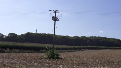 landscape view of fields within the united kingdom