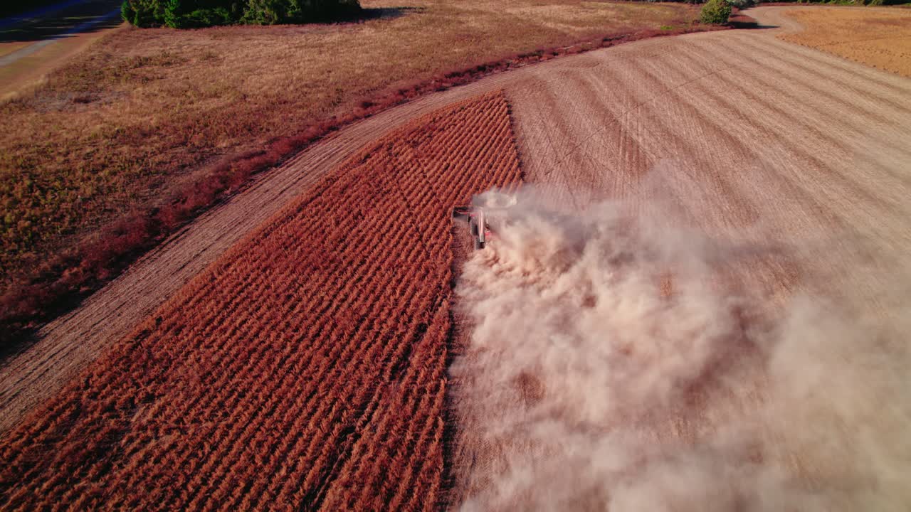 미국 조지아의 그림 같은 풍경, 공중 사진 농장 트랙터가 비 유전자 변형 소야 콩의 광활한  ⁇ 을 통해 우아하게 움직이는 것을 포착합니다.