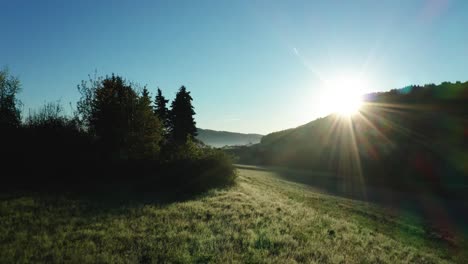 close flight over beautiful green field during morning hour with blue sky and sun, flying close to pine trees realxing morning atmosphere