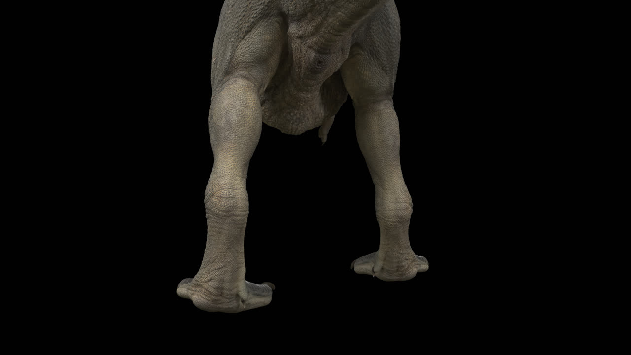 dinosaurio trex bucle caminando con el canal alfa