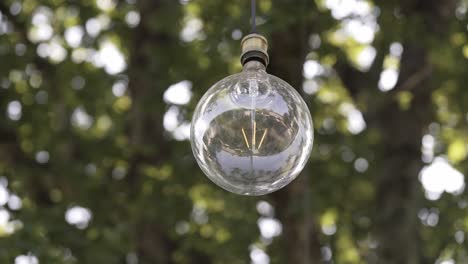 bombilla de vidrio transparente colgada al aire libre con fondo de follaje verde borroso