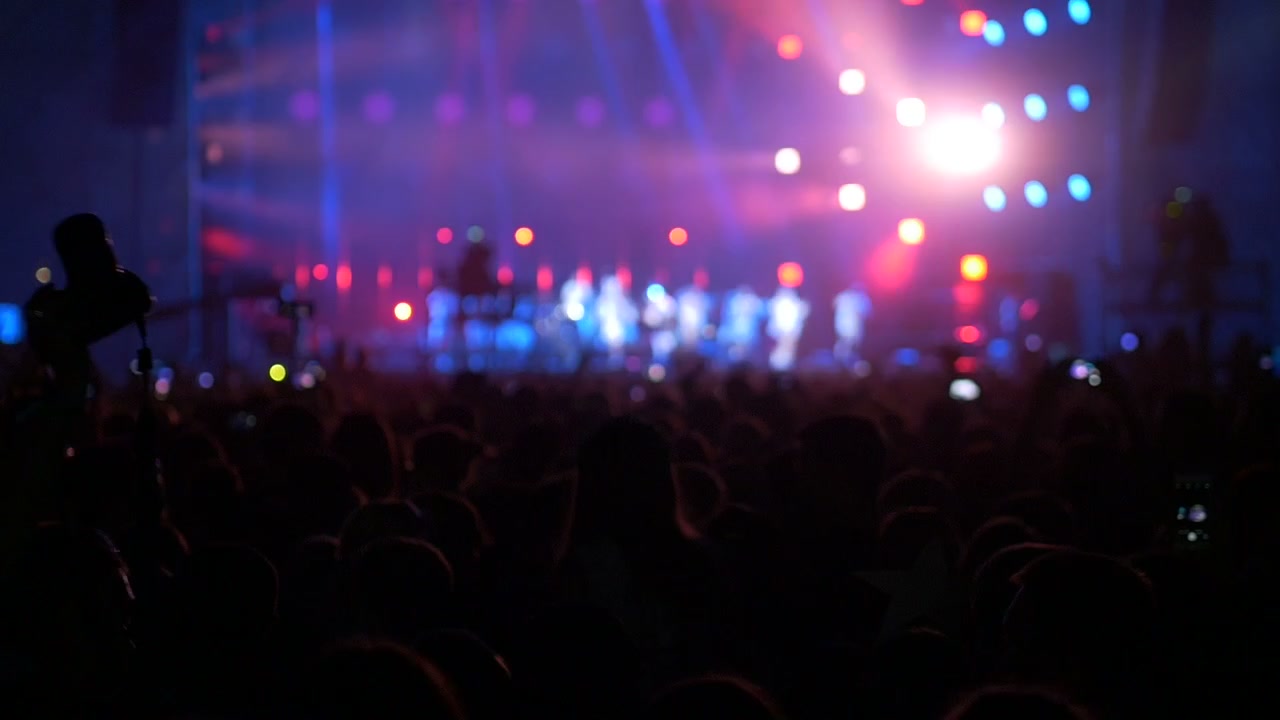 Sagome di una folla che si gode un concerto di musica dal vivo con luci brillanti del palco