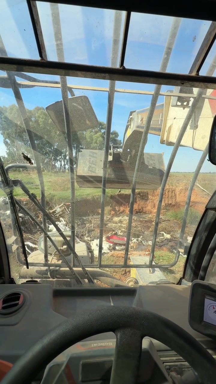Vertical Point-of-View Shot from Inside the Cab of a Bobcat Telehandler Dumping Materials into a Farm Pit