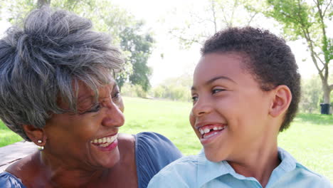 slow motion portrait of grandmother with grandson relaxing in park