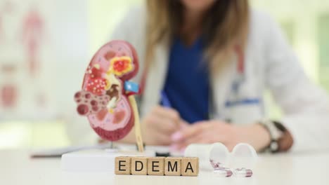 medical concept of edema with kidney model and doctor