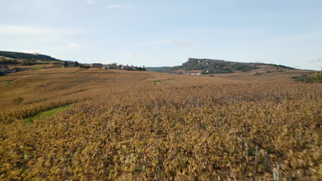 Vista-Aérea-De-Los-Viñedos-De-Borgoña-Cerca-De-Macon-En-Otoño