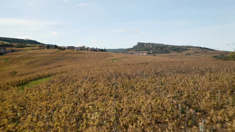 vista aérea de los viñedos de borgoña cerca de macon en otoño