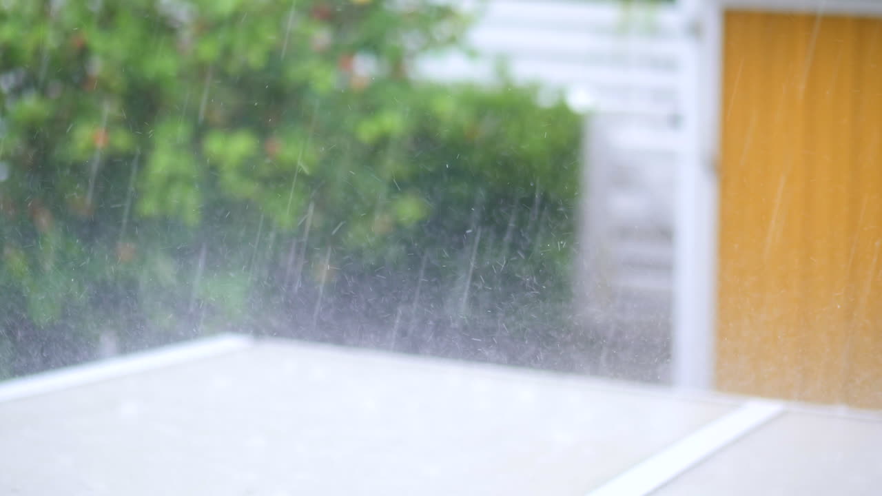 옥상에 강한 비