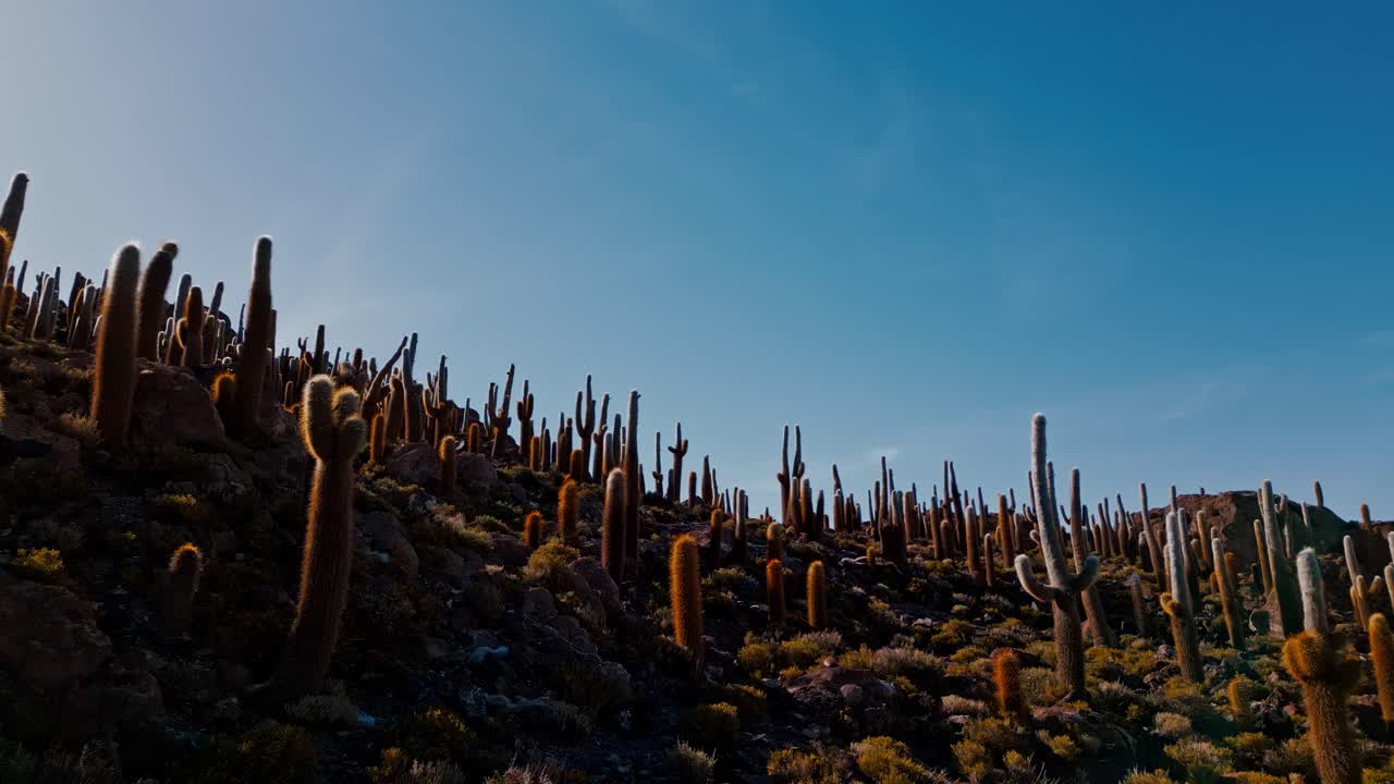 Witness Bolivia's natural wonders in a new light with breathtaking drone footage showcasing Isla Incahuasi, Salar de Uyuni's salt flats, and unique cacti bathed in the warm glow of sunrise from above