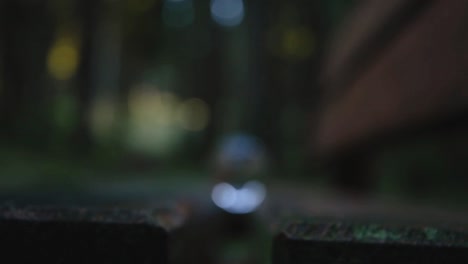 female hand putting a crystal ball on a bench in the middle of a forest reflecting autumnal and moody landscape upside down