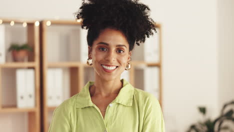 Portrait,-happy-and-a-business-black-woman-arms