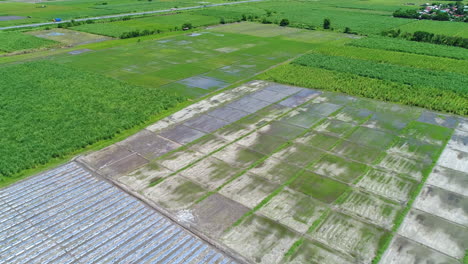 Toma-Aérea-De-áreas-Agrícolas-Verdes-Y-Secas-En-Un-Día-Soleado