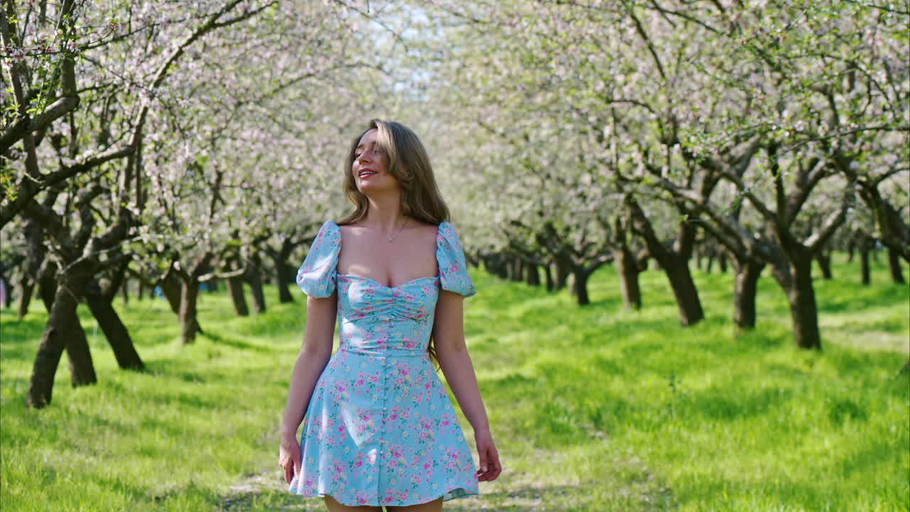 Brunette woman in a blue dress walking through a field of blooming almond trees