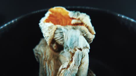 a macro close up cinematic rotating shot of a magical psychoactive psilocybin hallucination dried mushroom with a red bown cap, in a black shiny bowl, studio lighting, 4k video