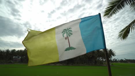 penang flag wave at natural coconut plantation