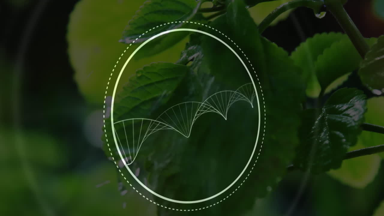 composición digital de la estructura del adn girando contra el agua que cae en la planta de albahaca