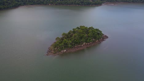 Isla-Serpiente-Por-Mooney-Mooney-Creek-Con-árboles-Verdes---Islote-En-Mooney-Mooney,-Nsw,-Australia