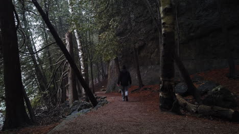 male figure walking around a limestone cliff on a downhill footpath, through beautiful rocky canadian wilderness, wide shot