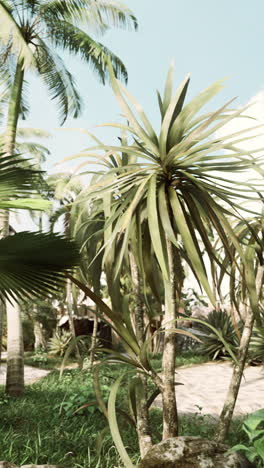 un paraíso tropical: exuberantes palmeras y follaje exótico