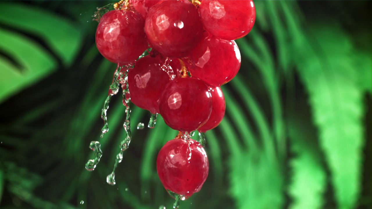 Uvas Rojas Frescas con Agua Salpicando en Cámara Lenta.