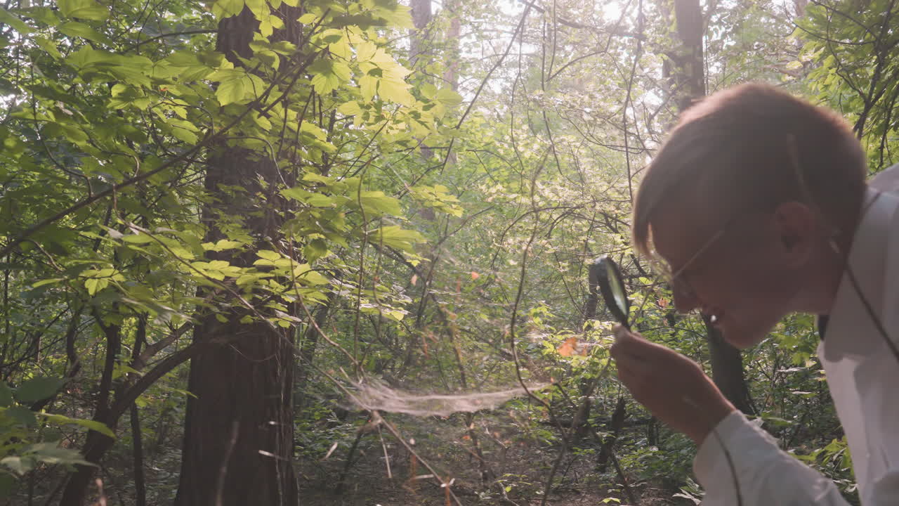 Scientific researcher in white coat closely observing spider web with magnifying glass in dense forest environment, focusing on delicate cobweb structure under sunlight for detailed study