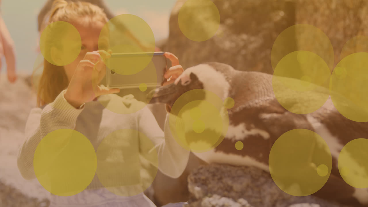 의 사진을 찍는 백인 소녀에 대한 스의 애니메이션