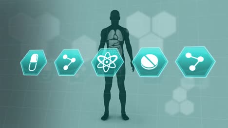 animación de iconos médicos sobre el modelo del cuerpo humano