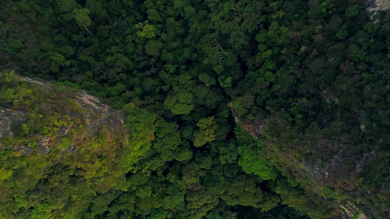 aerial. increíble video de estilo cinematográfico de enormes montañas y selva tropical en el sur de tailandia. vuelo de drones a través del pico. llamaradas solares detrás de las montañas. vuelo de dos pájaros cerca del cuadrocóptero.