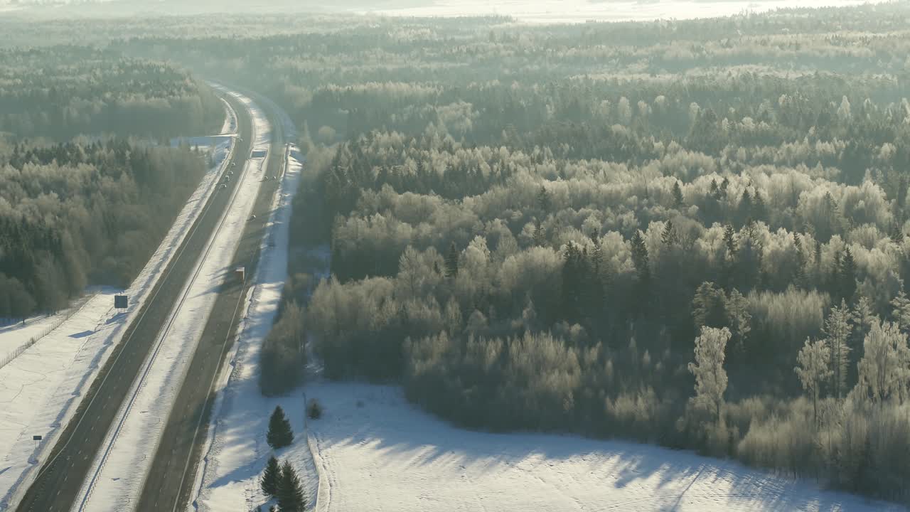морозный лес. холодный зимний день. сельская местность литвы