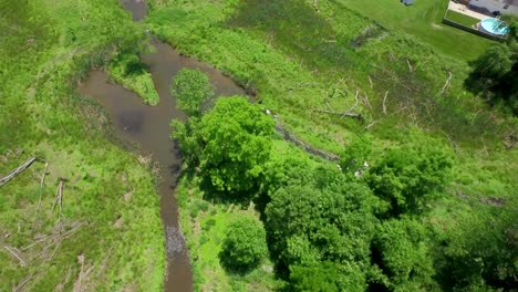 medium flyover of suburban environmental restoration