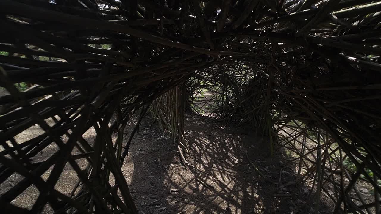 숲에서 수작업으로 만든 건축적 자연 건물 내부