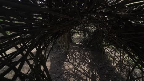 dentro del edificio arquitectónico natural, hecho a mano en el bosque