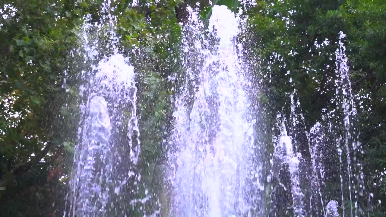 cierre la fuente de agua en cámara lenta contra los árboles verdes y la naturaleza, rodada en marbella, málaga, españa a 120 fps