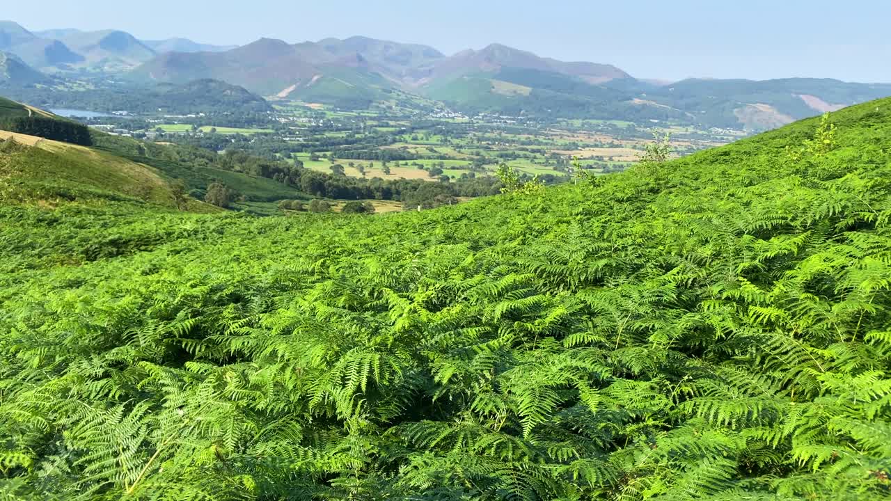 극적인 호수 지역 풍경을 드러내기 위해 위로 기울이는 시네마틱 샷