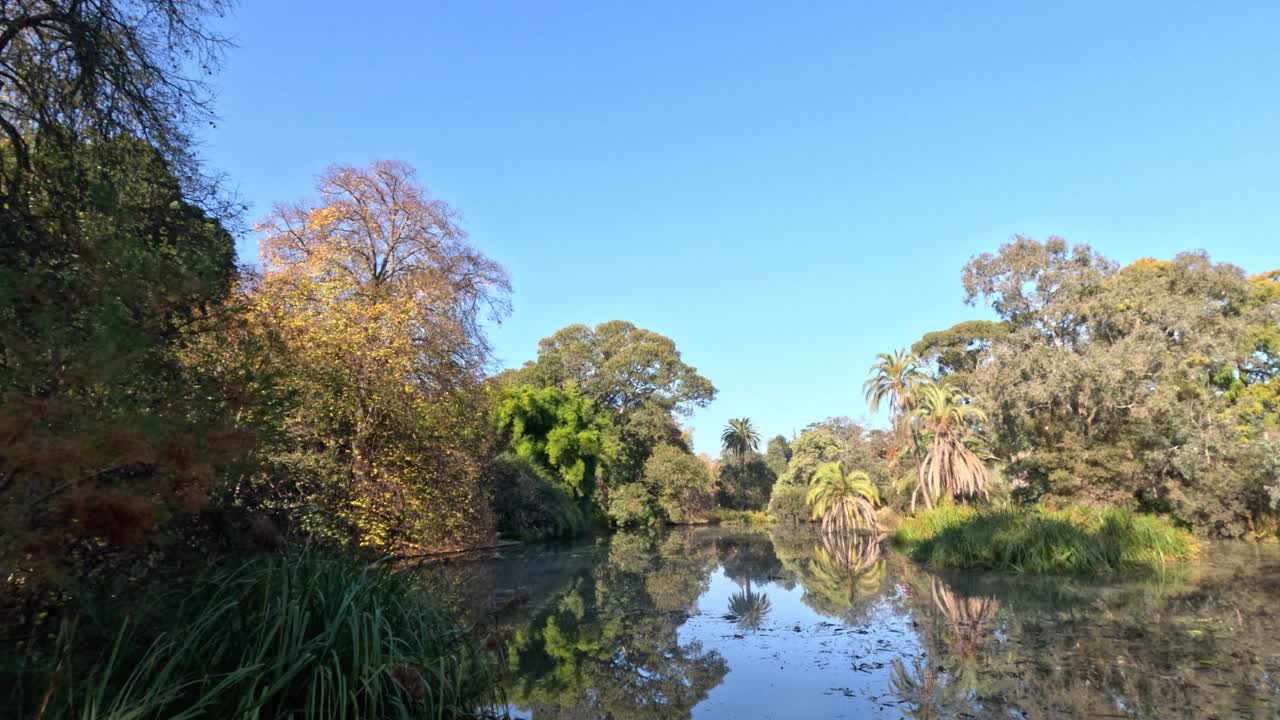 나무 와 연못 이 있는 조용 한 가을 풍경