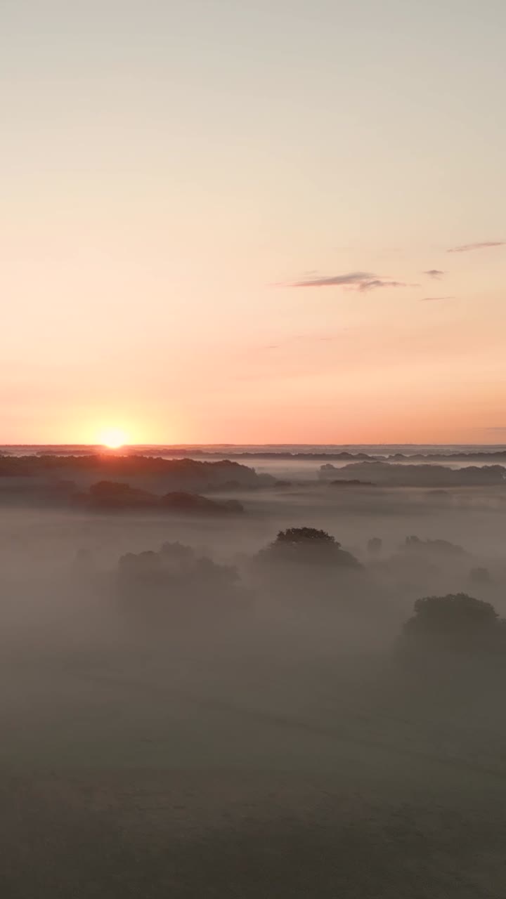 amanecer brumoso sobre el campo