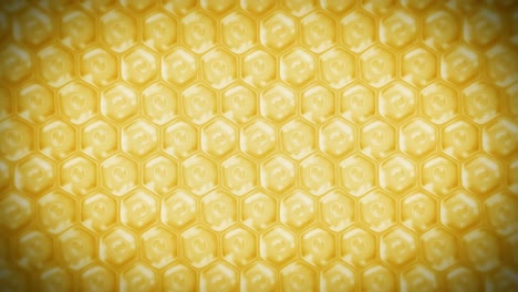 human skin cells. each cell with membrane. cellular therapy. disease treatment. nucleus and vacuole. regeneration. loop animation.