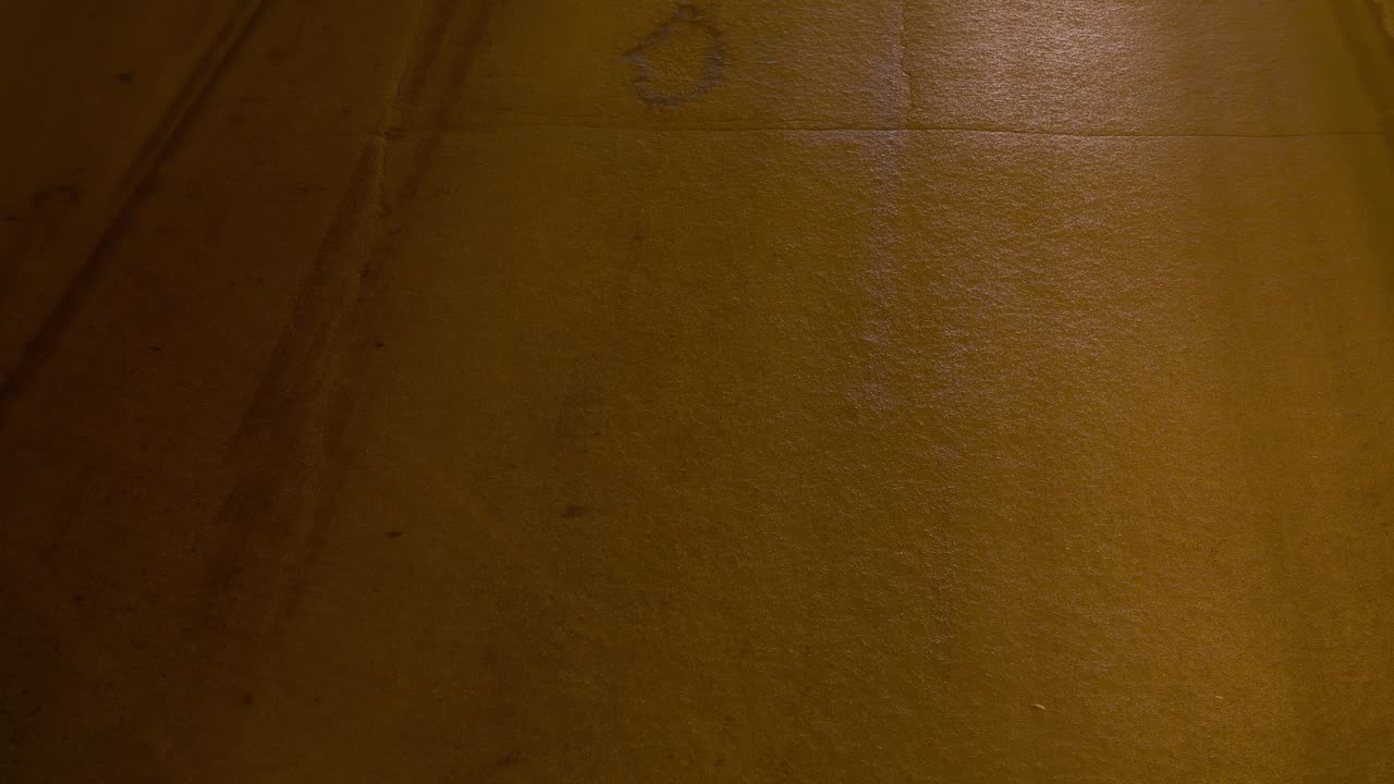 vista nocturna de la carretera con coche