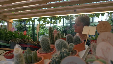 mujer en una tienda de flores eligiendo un cactus