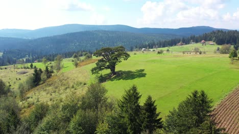 Beautiful-green-landscape-of-Serbia-by-the-mountains--aerial