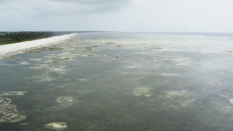 Tropical-coastal-sea-bed-with-lots-of-seaweed-at-low-tide,-drone-shot