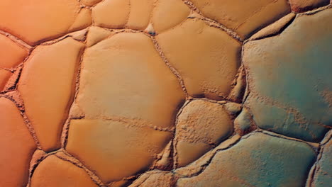 abstract cracked earth texture with organic pattern