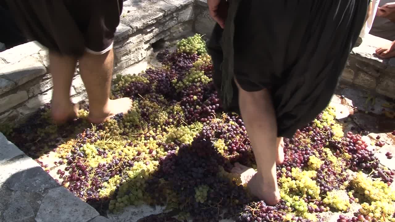 Traditional stomping of the grapes to make wine.