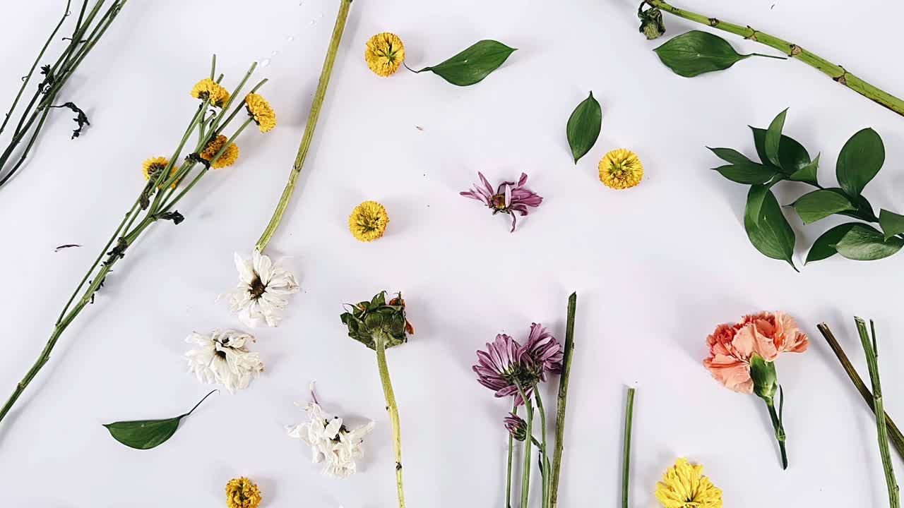 Arrangement med tørkede blomster på hvit bakgrunn